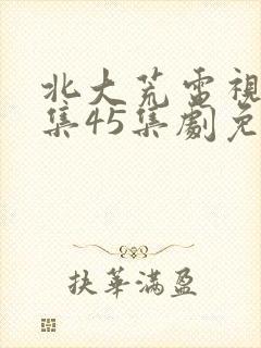 北大荒电视剧全集45集剧免费观看