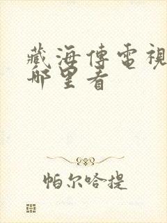 藏海传电视剧在哪里看封面