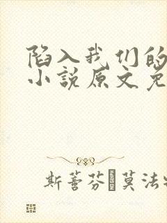 陷入我们的热恋小说原文免费阅读封面