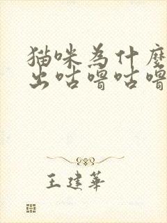 猫咪为什么会发出咕噜咕噜的声音