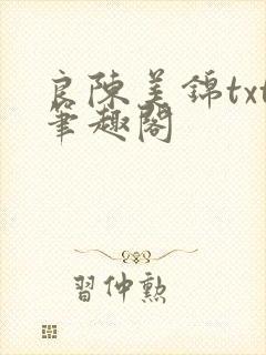 良陈美锦txt笔趣阁