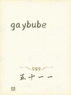 gaybube