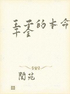 王子的本命恶役千金封面