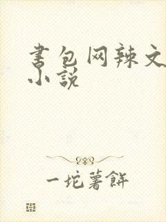 书包网辣文全本小说