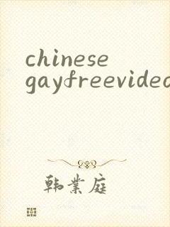 chinesegayfreevideoporn封面