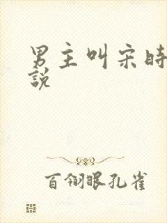 男主叫宋时的小说封面