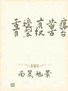 舌边有齿痕中间有裂纹舌苔厚白