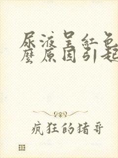 尿液呈红色是什么原因引起的