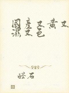 国产又黄又大又湿又色