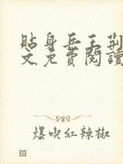 贴身兵王荆飞全文免费阅读