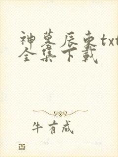 神墓辰东txt全集下载封面