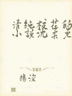 清纯校花的日常小说沈柔免费阅读封面