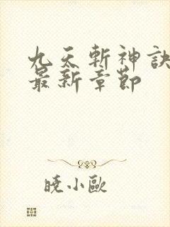 九天斩神诀小说最新章节