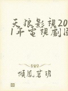 天狼影视2021年电视剧国产剧