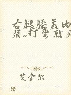 右腿膝盖内侧疼痛,,打弯就疼,为什么