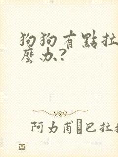 狗狗有点拉稀怎么办?