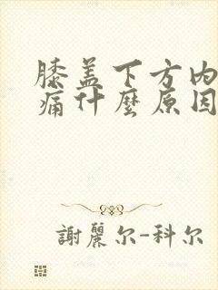 膝盖下方内侧疼痛什么原因