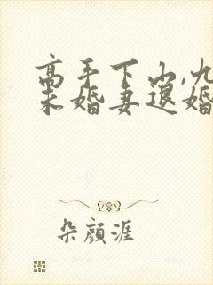 高手下山,九个未婚妻退婚封面