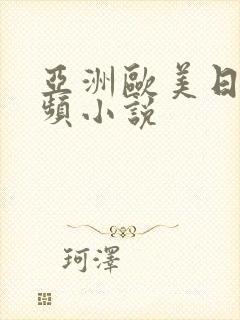 亚洲欧美日韩视频小说