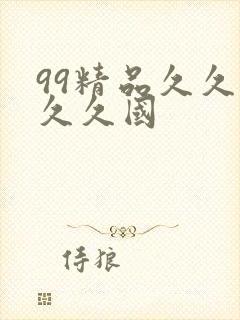99精品久久久久久国