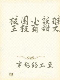 校园小说推荐男主校霸甜文封面