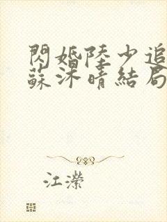 闪婚陆少追妻忙苏沐晴结局