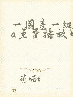 一国产一级淫片a免费播放口