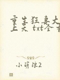 重生狂妻大佬宠上天 txt全本