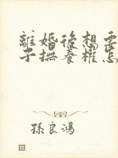 离婚后想要回孩子抚养权怎么办