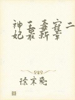 神王毒宠二嫁王妃最新章