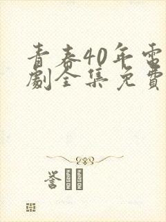 青春40年电视剧全集免费观看