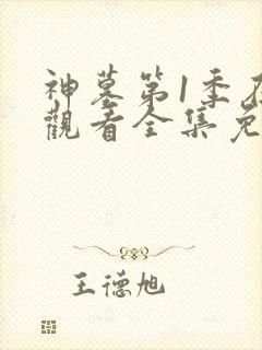 神墓第1季在线观看全集免费高清