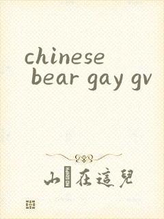 chinese bear gay gv封面