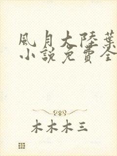 风月大陆叶天龙小说免费全集阅读