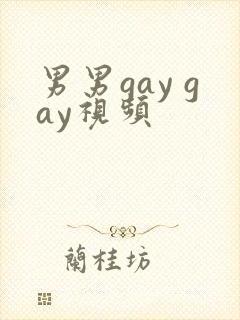 男男gay gay视频