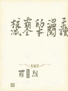 校霸的温柔无删减全本阅读