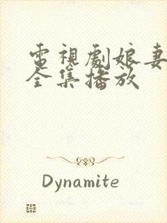 电视剧娘妻免费全集播放