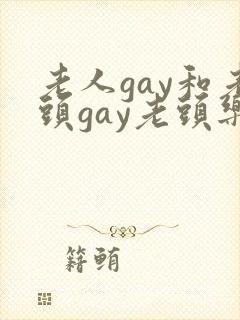 老人gay和老头gay老头乐