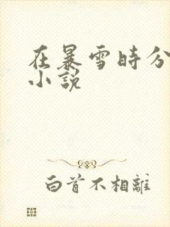 在暴雪时分衍生小说