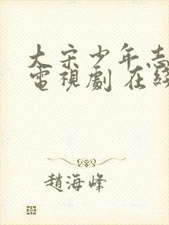 大宋少年志2 电视剧 在线观看封面