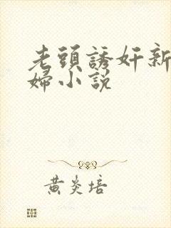老头诱奸新婚少妇小说