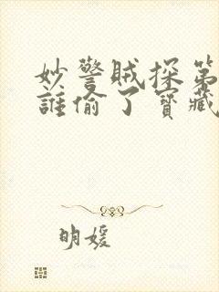 妙警贼探第二季谁偷了宝藏