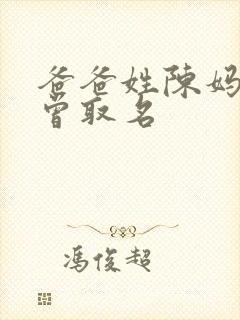 爸爸姓陈妈妈姓曾取名封面