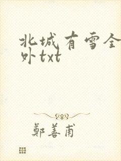 北城有雪全文番外txt