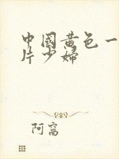 中国黄色一级淫片少妇