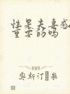 性是夫妻感情最重要的吗