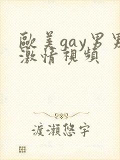 欧美gay男男激情视频