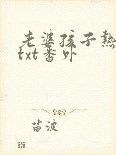 老婆孩子热炕头txt番外封面