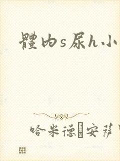 体内s尿h小说