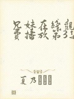 兄妹在线观看免费播放第3集